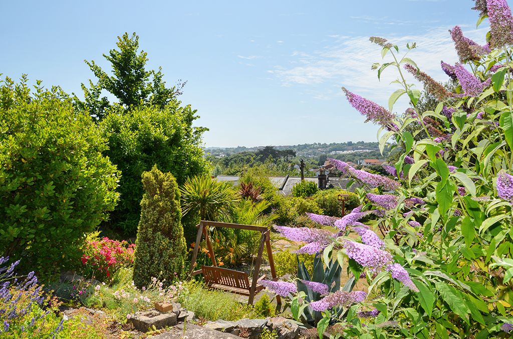 Outdoor view
